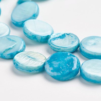 Natural Freshwater Shell Beads X-S00C20V8-1