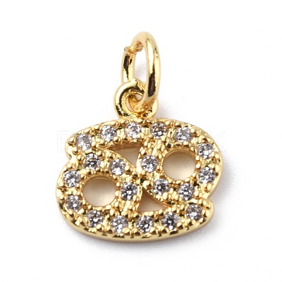 Brass Micro Pave Cubic Zirconia Charms ZIRC-F131-16G-07-1