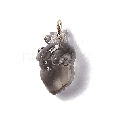 Transparent Resin Pendants RESI-E028-01G-02-1