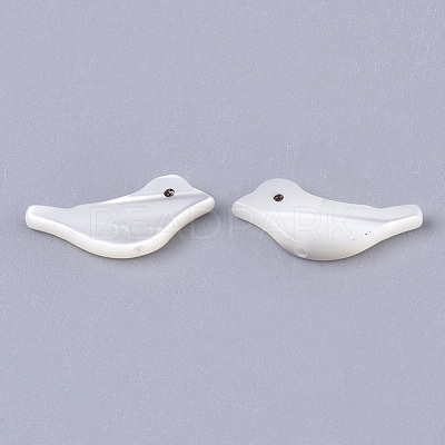 Natural Trochid Shell/Trochus Shell Beads X-SSHEL-T014-05-1