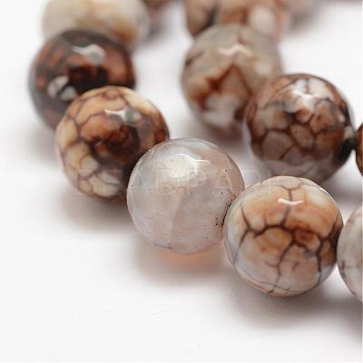 Faceted Natural Fire Crackle Agate Beads Strands G-F447-12mm-B14-1