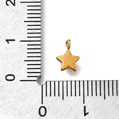304 Stainless Steel Charms STAS-R159-58G-04-1