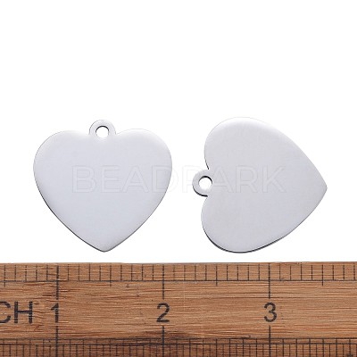Tarnish Resistant 304 Stainless Steel Pendants STAS-I140-10B-S-1