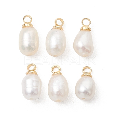 Natural Cultured Freshwater Pearl Pendants PALLOY-JF05438-01-1