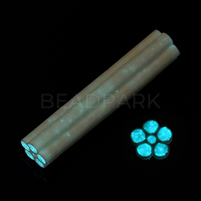 Luminous Handmade Polymer Clay Nail Art Decoration CLAY-T016-85G-1