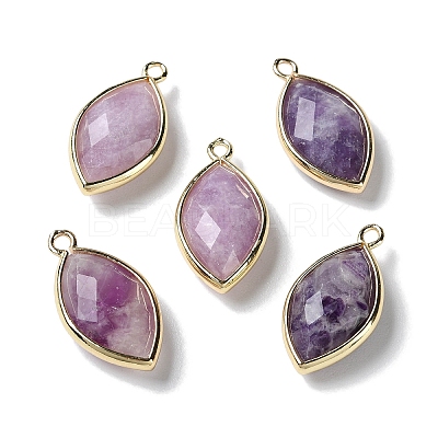 Natural Lepidolite/Purple Mica Stone Pendants G-B009-01G-01-1