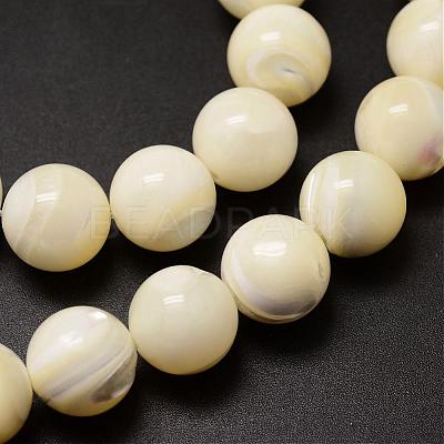 Natural Sea Shell Beads Strands SSHEL-K013-12mm-A-1