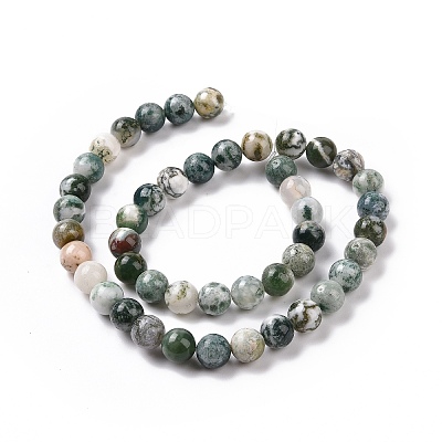 Natural Tree Agate Beads Strands G-K194-10mm-02-1