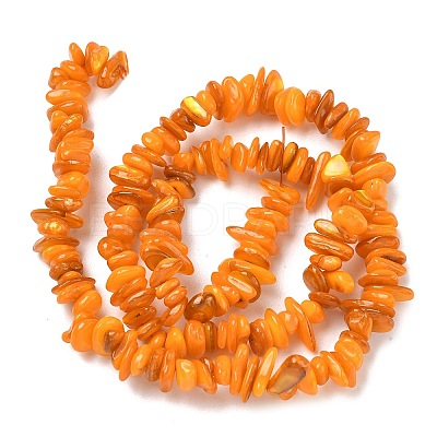 Natural Freshwater Shell Beads Strands BSHE-I016-01I-1