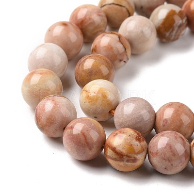 Natural Agate Beads Strands G-C238-03B-1