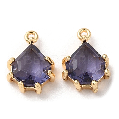 Real 18K Gold Plated Brass Micro Pave Cubic Zirconia Charms KK-Q779-08G-03-1