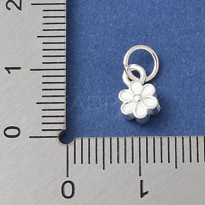 S925 Sterling Silver Pendant STER-H115-08E-S-1