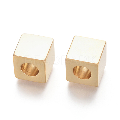 304 Stainless Steel European Beads STAS-I126-03G-1