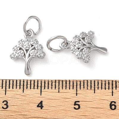 Rack Plating Brass Micro Pave Clear Cubic Zirconia Charms KK-D097-05P-1