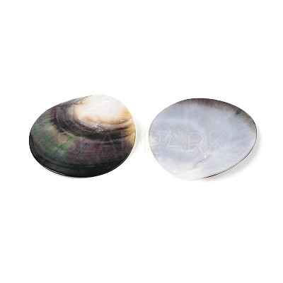Natural Black Lip Shell Big Pendants BSHE-T014-41D-1
