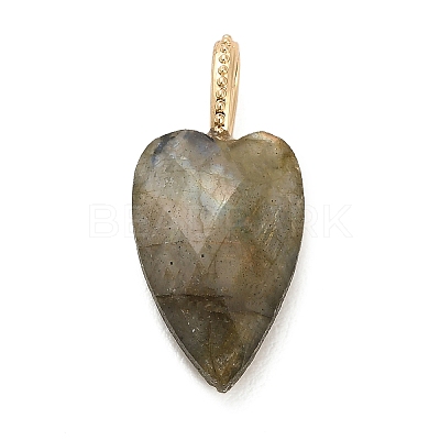 Natural Labradorite Pendants G-C290-01D-1