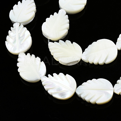 Natural Trochid Shell/Trochus Shell Beads Strands SSHEL-N034-136B-01-1