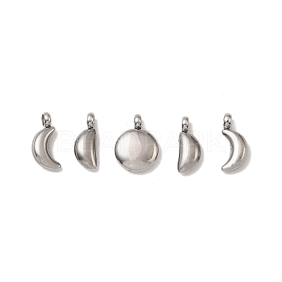 5Pcs 304 Stainless Steel Charms STAS-M017-14P-1