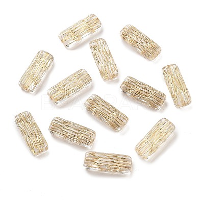 Metal Enlaced Transparent Acrylic Beads MACR-M045-10-1