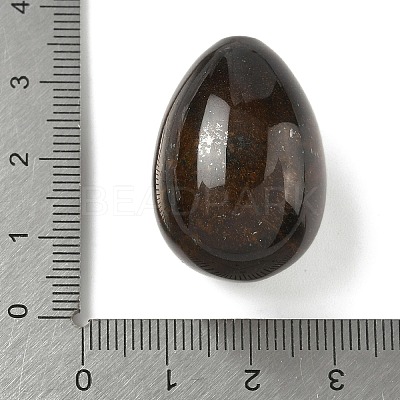 Natural Tiger Eye Egg Shape Display Decorations G-Z094-01I-1