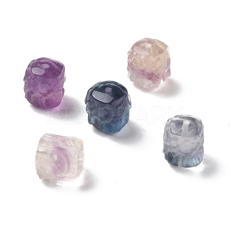 Natural Fluorite Beads G-P483-07-1