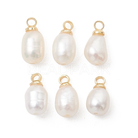 Natural Cultured Freshwater Pearl Pendants PALLOY-JF05438-01-1