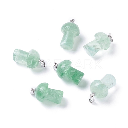 Natural Fluorite Pendants G-M380-B01-P-1