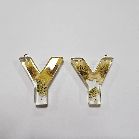 Transparent Epoxy Resin Pendants CRES-YW0002-12Y-1