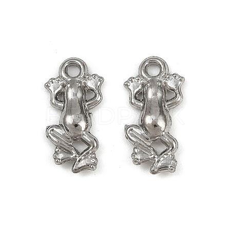 304 Stainless Steel Charms STAS-F317-12P-1