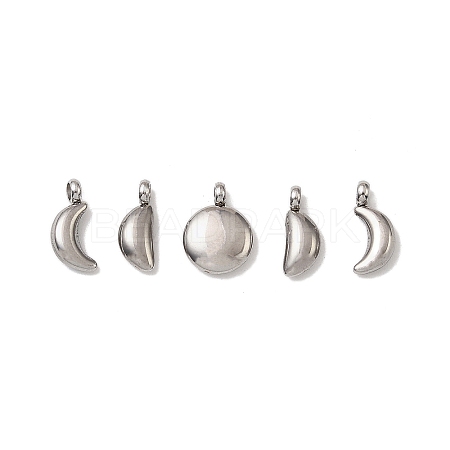 5Pcs 304 Stainless Steel Charms STAS-M017-14P-1