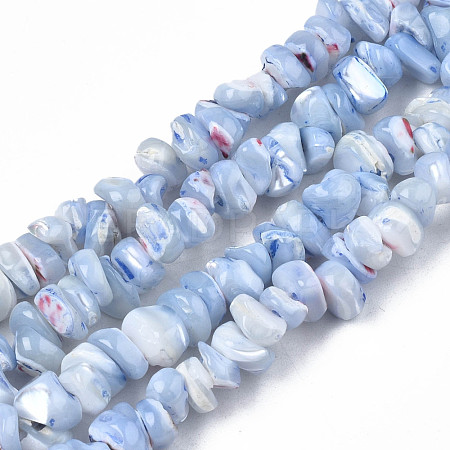 Natural Freshwater Shell Beads Strands SHEL-N003-23-B02-1