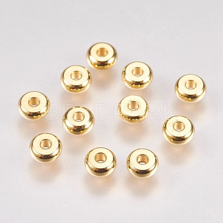 304 Stainless Steel Spacer Beads LS-STAS-G173-03G-1