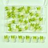 36Pcs Handmade Lampwork Beads LAMP-FS0001-74-5