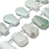 Natural Amazonite Beads Strands G-H078-A06-01-1