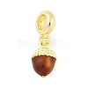 Brass Enamel Fruit European Dangle Charms KK-Z090-08G-08-1