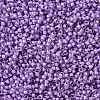 TOHO Round Seed Beads SEED-JPTR15-0943-2