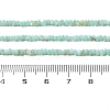Natural Freshwater Shell Beads Strands SHEL-P017-01A-08-4