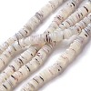 Natural Trochid Shell/Trochus Shell Beads Strands SHEL-P015-11-1