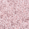 FGB Transparent Glass Seed Beads SEED-N013-01A-10-3