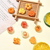 20Pcs 10 Styles Opaque Resin Imitation Food Pendants CRES-YW0002-26-4