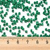 Baking Paint Glass Seed Beads SEED-S042-05A-20-4