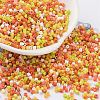 Baking Paint Glass Seed Beads SEED-S042-05B-44-1