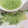 MIYUKI Delica Beads Small SEED-X0054-DBS0174-1
