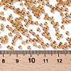 12/0 Glass Seed Beads SEED-US0003-2mm-102C-3