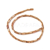 Natural Freshwater Shell Dyed Beads Strands SHEL-M018-11-11-2