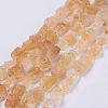 Raw Rough Natural Citrine Bead Strands G-F403-09-1