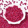 Baking Paint Pearlized Glass Seed Beads SEED-T008-03O-2