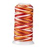 Segment Dyed Round Polyester Sewing Thread OCOR-Z001-B-06-1