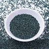 MIYUKI Delica Beads SEED-J020-DB1006-2