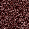 Glass Seed Beads SEED-A010-2mm-56-3